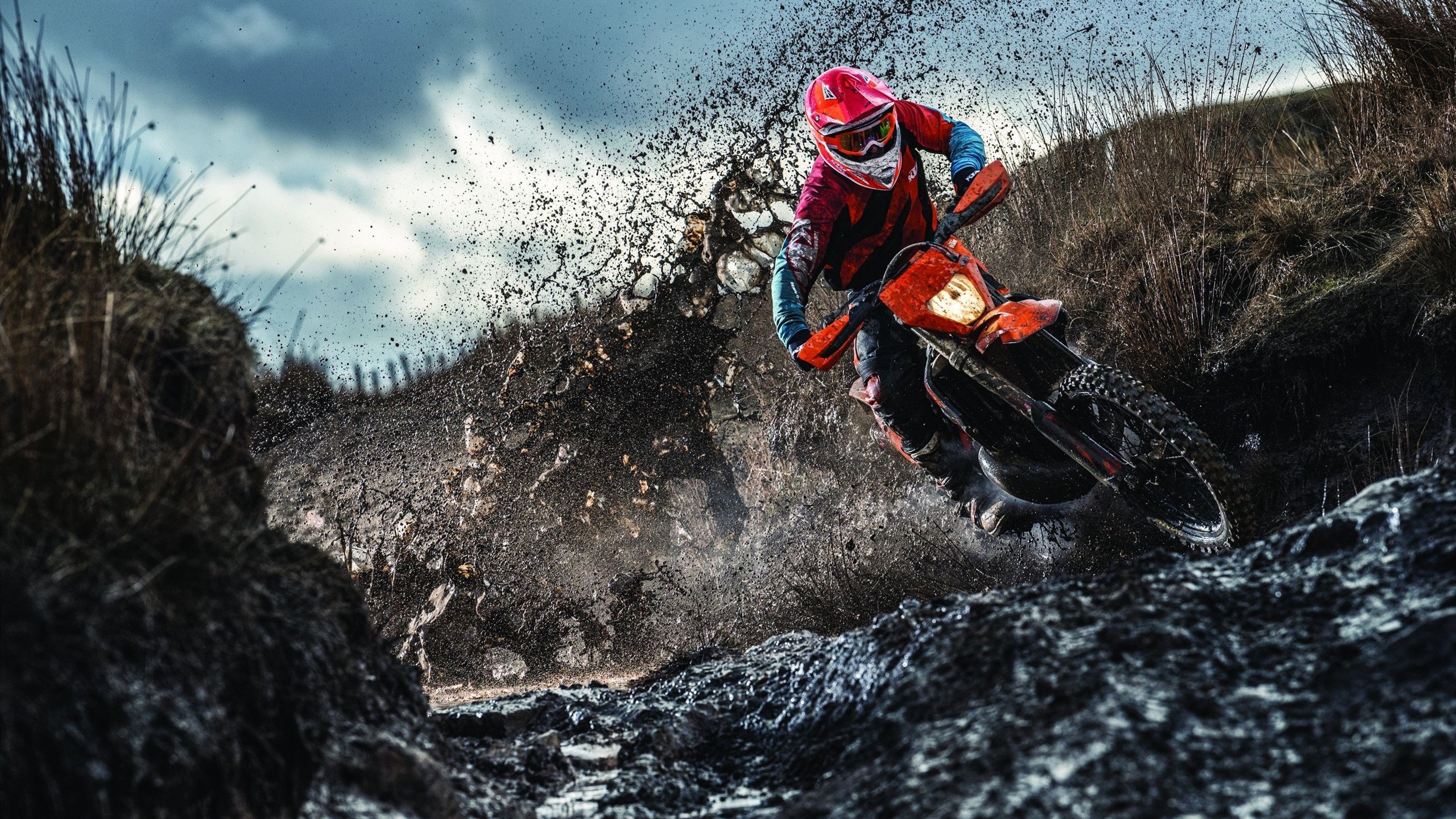 “华金·托比利亚的快速反击与精湛技巧,成为美洲狮队致命武器”